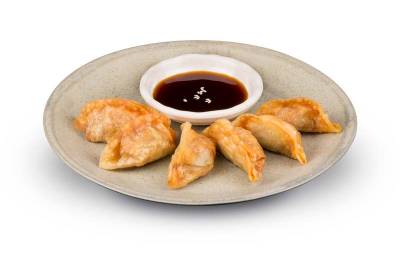 Gemüse Gyoza